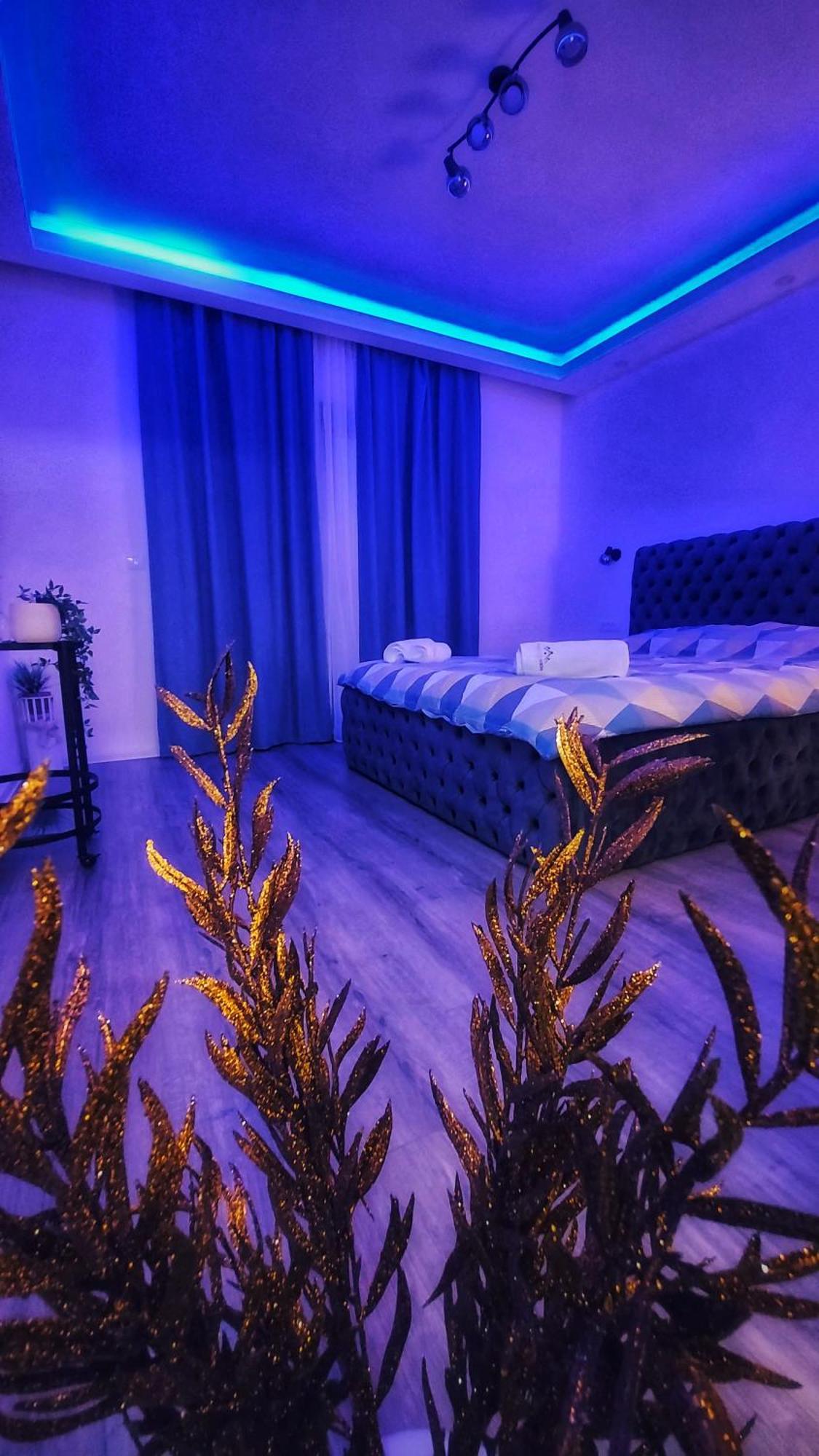 Stars Lux Room Belgrade Room photo